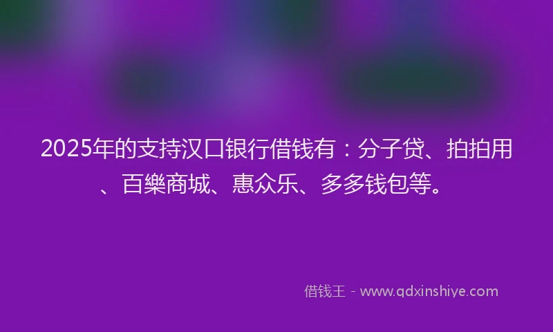 2025年的支持汉口银行借钱有：分子贷、拍拍用、百樂商城、惠众乐、多多钱包等。
