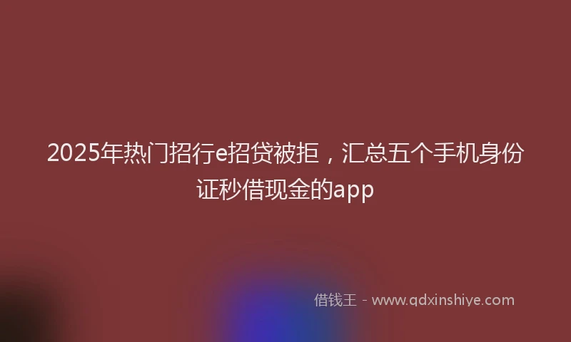 2025年热门招行e招贷被拒，汇总五个手机身份证秒借现金的app