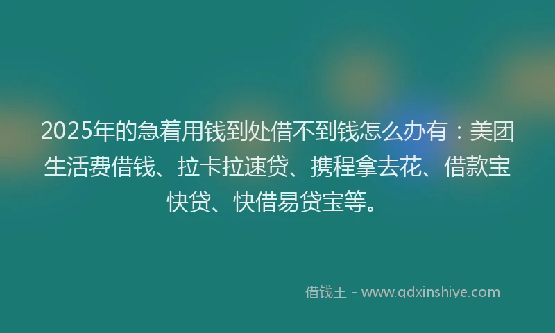 2025年的急着用钱到处借不到钱怎么办有：美团生活费借钱、拉卡拉速贷、携程拿去花、借款宝快贷、快借易贷宝等。