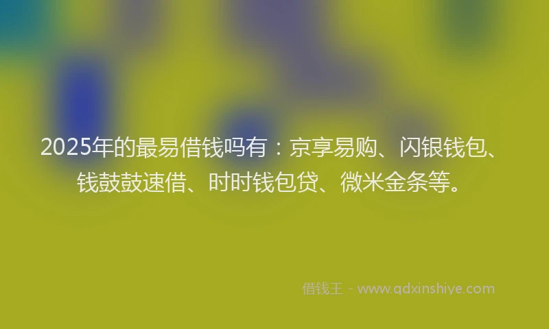 2025年的最易借钱吗有：京享易购、闪银钱包、钱鼓鼓速借、时时钱包贷、微米金条等。