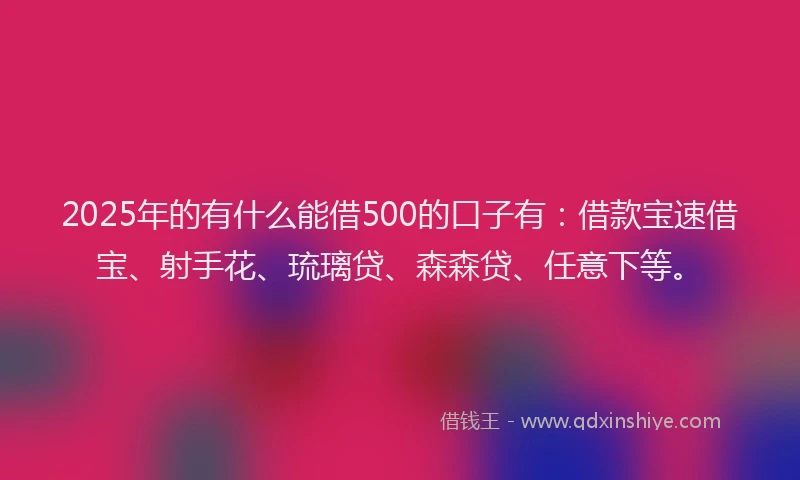 2025年的有什么能借500的口子有：借款宝速借宝、射手花、琉璃贷、森森贷、任意下等。