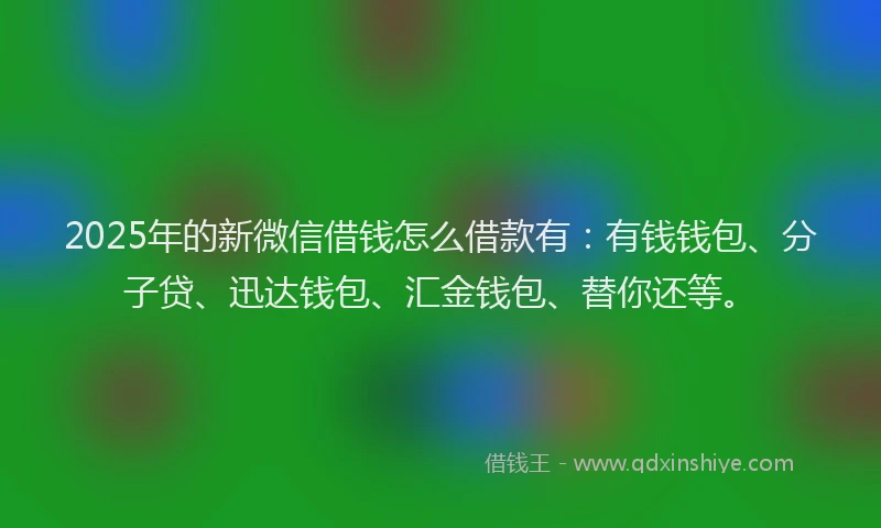 2025年的新微信借钱怎么借款有：有钱钱包、分子贷、迅达钱包、汇金钱包、替你还等。