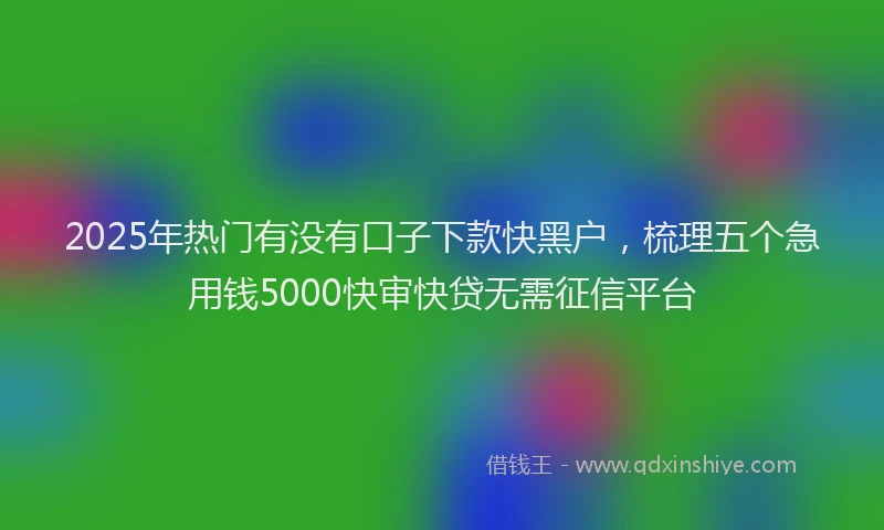 2025年热门有没有口子下款快黑户，梳理五个急用钱5000快审快贷无需征信平台