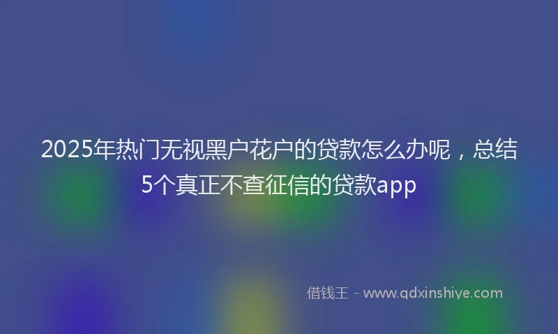 2025年热门无视黑户花户的贷款怎么办呢，总结5个真正不查征信的贷款app