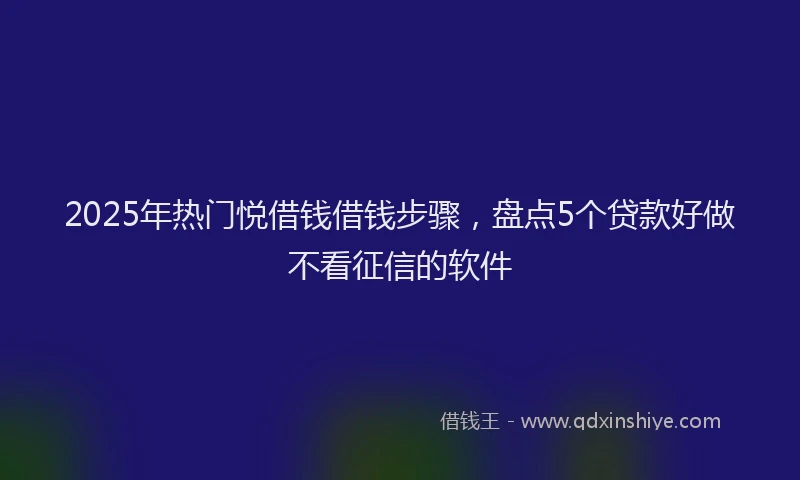 2025年热门悦借钱借钱步骤，盘点5个贷款好做不看征信的软件