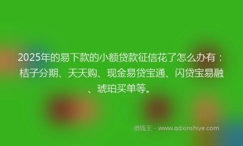 2025年的易下款的小额贷款征信花了怎么办有：桔子分期、天天购、现金易贷宝通、闪贷宝易融、琥珀买单等。