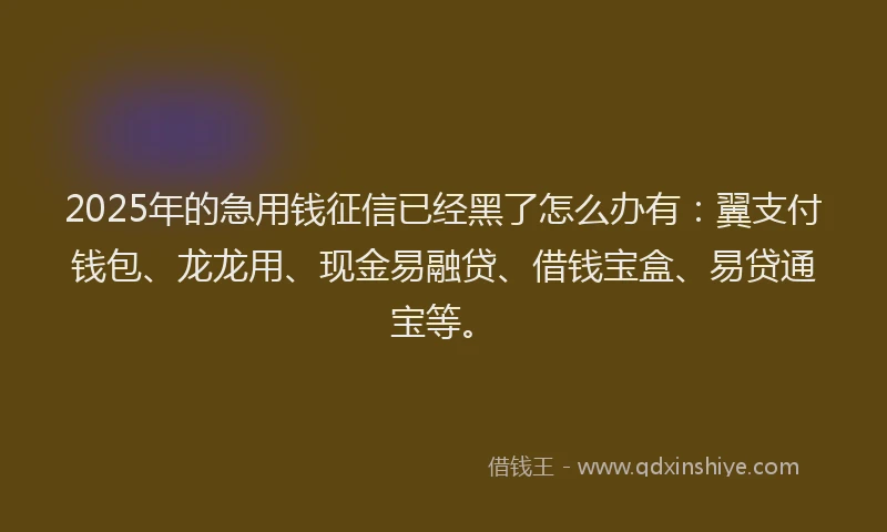 2025年的急用钱征信已经黑了怎么办有：翼支付钱包、龙龙用、现金易融贷、借钱宝盒、易贷通宝等。