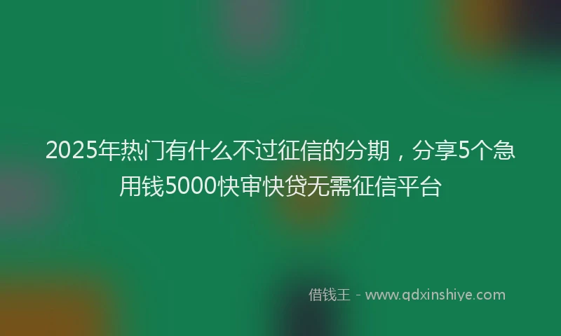 2025年热门有什么不过征信的分期，分享5个急用钱5000快审快贷无需征信平台
