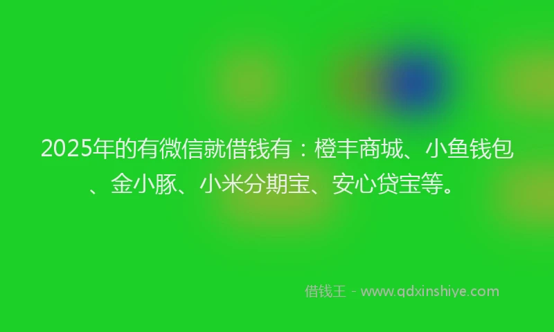 2025年的有微信就借钱有：橙丰商城、小鱼钱包、金小豚、小米分期宝、安心贷宝等。