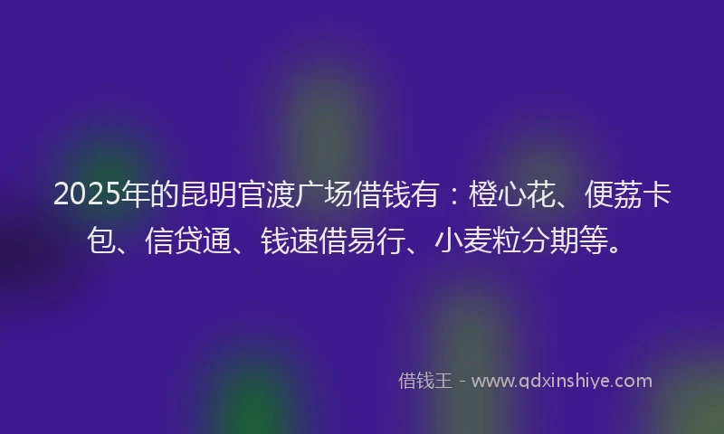 2025年的昆明官渡广场借钱有：橙心花、便荔卡包、信贷通、钱速借易行、小麦粒分期等。