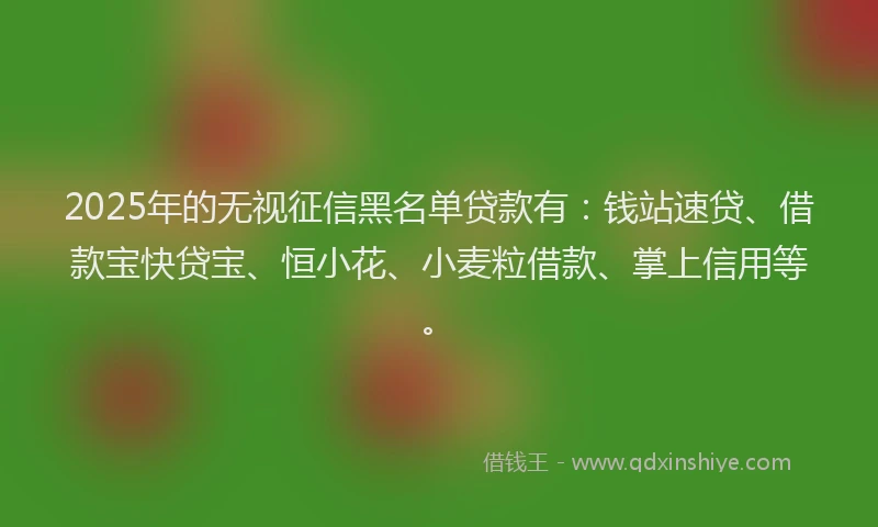 2025年的无视征信黑名单贷款有：钱站速贷、借款宝快贷宝、恒小花、小麦粒借款、掌上信用等。