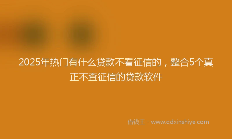 2025年热门有什么贷款不看征信的，整合5个真正不查征信的贷款软件