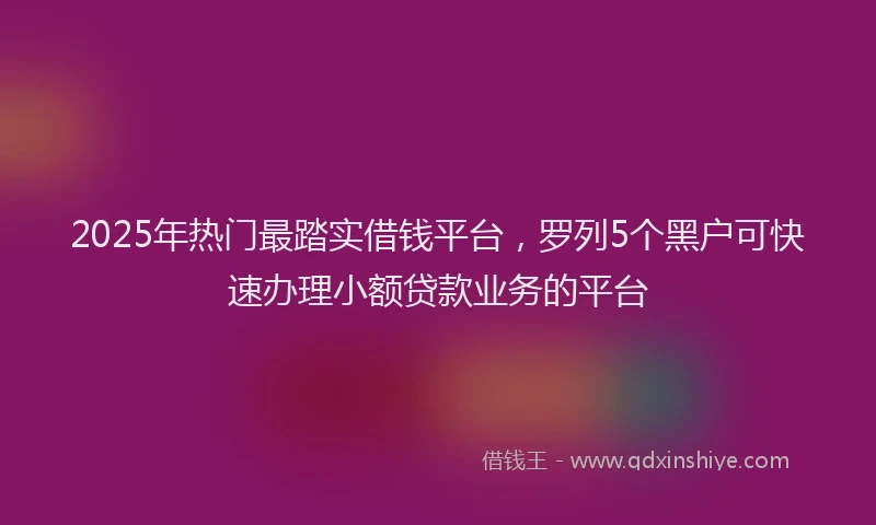 2025年热门最踏实借钱平台，罗列5个黑户可快速办理小额贷款业务的平台