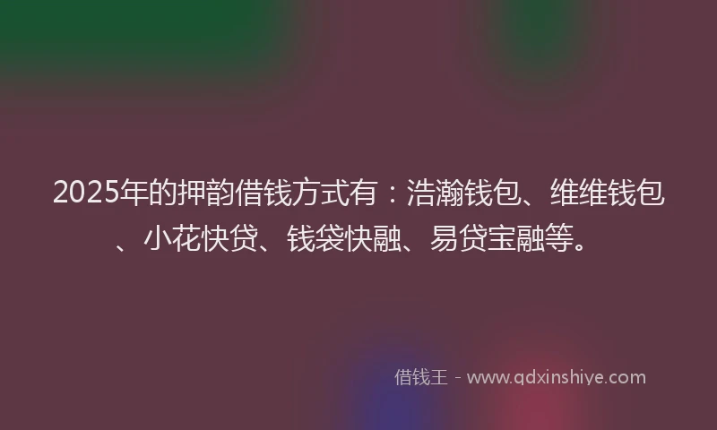 2025年的押韵借钱方式有：浩瀚钱包、维维钱包、小花快贷、钱袋快融、易贷宝融等。