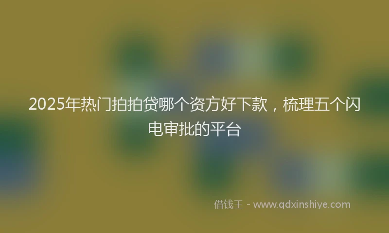 2025年热门拍拍贷哪个资方好下款，梳理五个闪电审批的平台