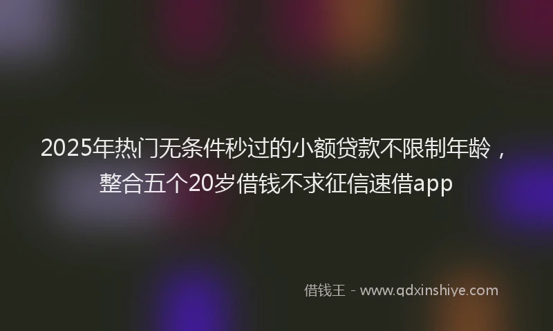 2025年热门无条件秒过的小额贷款不限制年龄，整合五个20岁借钱不求征信速借app