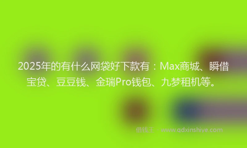 2025年的有什么网袋好下款有：Max商城、瞬借宝贷、豆豆钱、金瑞Pro钱包、九梦租机等。