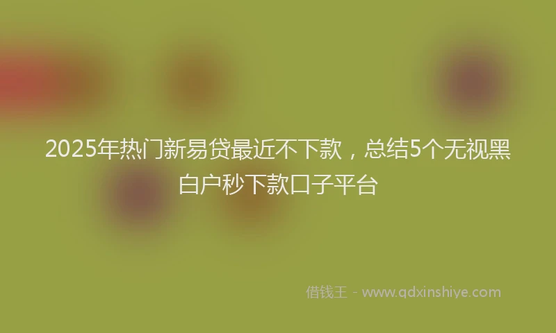 2025年热门新易贷最近不下款，总结5个无视黑白户秒下款口子平台