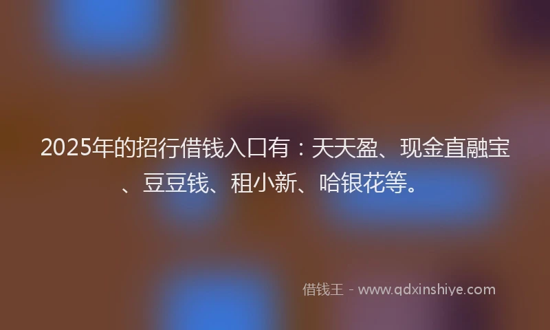 2025年的招行借钱入口有：天天盈、现金直融宝、豆豆钱、租小新、哈银花等。