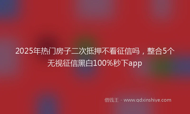 2025年热门房子二次抵押不看征信吗，整合5个无视征信黑白100%秒下app