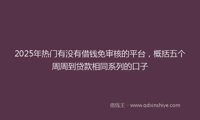 2025年热门有没有借钱免审核的平台，概括五个周周到贷款相同系列的口子