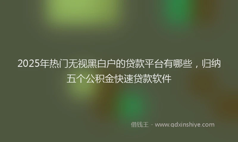 2025年热门无视黑白户的贷款平台有哪些，归纳五个公积金快速贷款软件