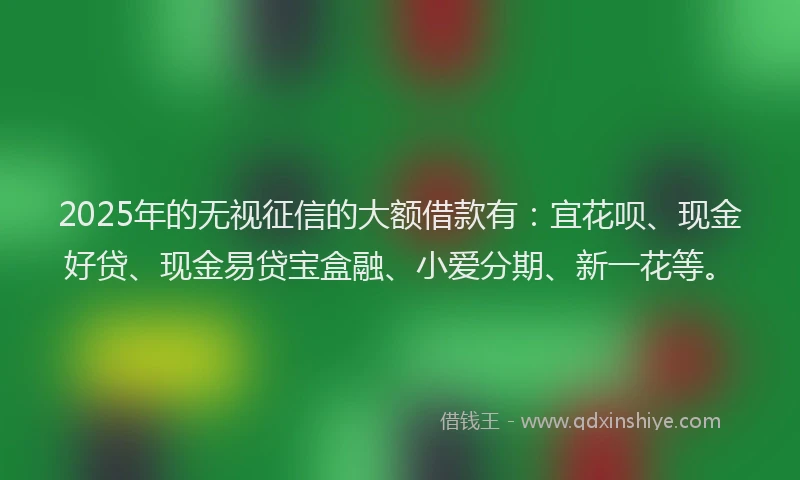 2025年的无视征信的大额借款有：宜花呗、现金好贷、现金易贷宝盒融、小爱分期、新一花等。