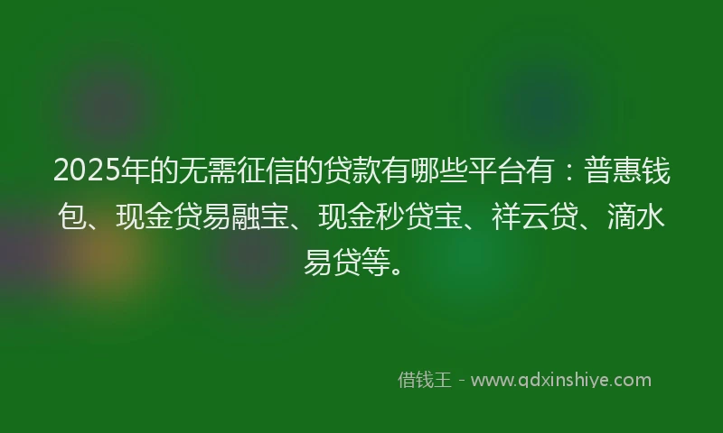 2025年的无需征信的贷款有哪些平台有：普惠钱包、现金贷易融宝、现金秒贷宝、祥云贷、滴水易贷等。