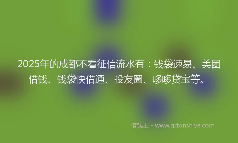 2025年的成都不看征信流水有：钱袋速易、美团借钱、钱袋快借通、投友圈、哆哆贷宝等。