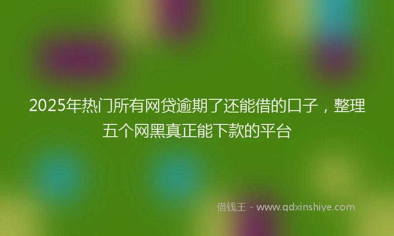 2025年热门所有网贷逾期了还能借的口子，整理五个网黑真正能下款的平台