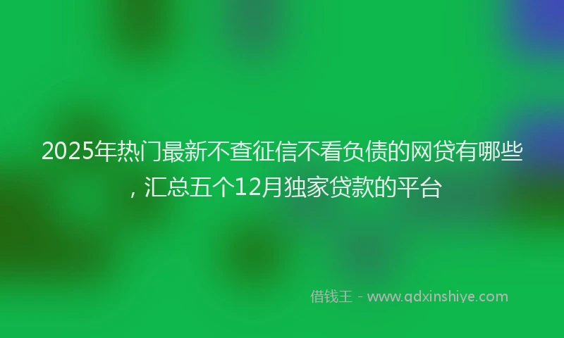 2025年热门最新不查征信不看负债的网贷有哪些，汇总五个12月独家贷款的平台