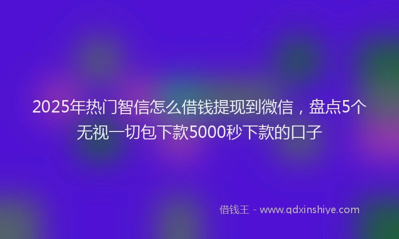 2025年热门智信怎么借钱提现到微信，盘点5个无视一切包下款5000秒下款的口子