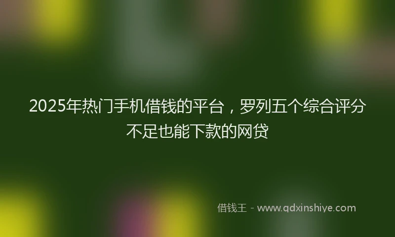 2025年热门手机借钱的平台，罗列五个综合评分不足也能下款的网贷