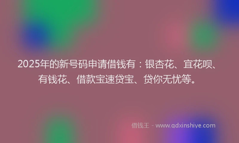 2025年的新号码申请借钱有：银杏花、宜花呗、有钱花、借款宝速贷宝、贷你无忧等。