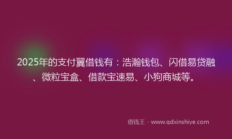 2025年的支付翼借钱有：浩瀚钱包、闪借易贷融、微粒宝盒、借款宝速易、小狗商城等。