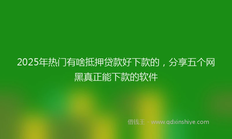 2025年热门有啥抵押贷款好下款的，分享五个网黑真正能下款的软件