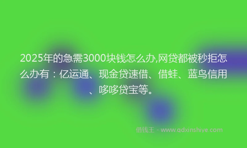 2025年的急需3000块钱怎么办,网贷都被秒拒怎么办有：亿运通、现金贷速借、借蛙、蓝鸟信用、哆哆贷宝等。