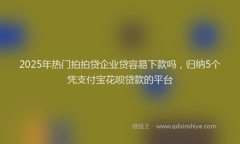 2025年热门拍拍贷企业贷容易下款吗，归纳5个凭支付宝花呗贷款的平台