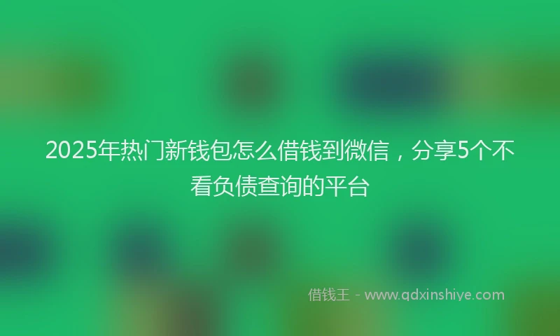 2025年热门新钱包怎么借钱到微信，分享5个不看负债查询的平台