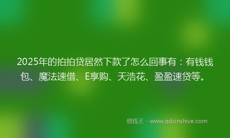 2025年的拍拍贷居然下款了怎么回事有：有钱钱包、魔法速借、E享购、天浩花、盈盈速贷等。
