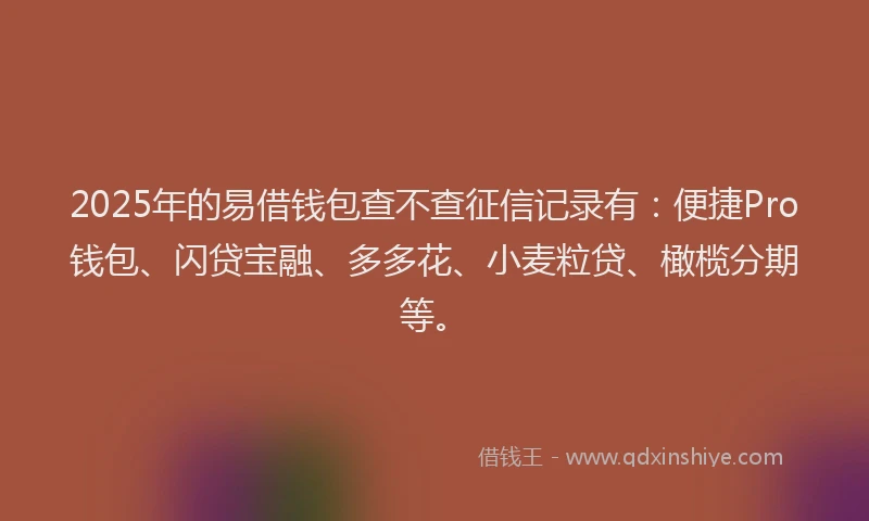 2025年的易借钱包查不查征信记录有：便捷Pro钱包、闪贷宝融、多多花、小麦粒贷、橄榄分期等。