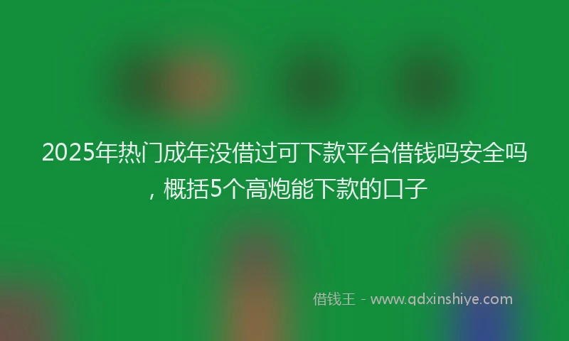 2025年热门成年没借过可下款平台借钱吗安全吗，概括5个高炮能下款的口子