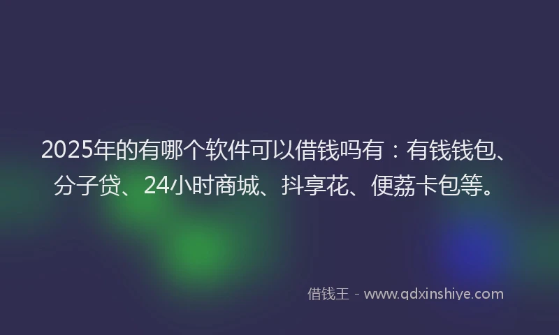 2025年的有哪个软件可以借钱吗有：有钱钱包、分子贷、24小时商城、抖享花、便荔卡包等。