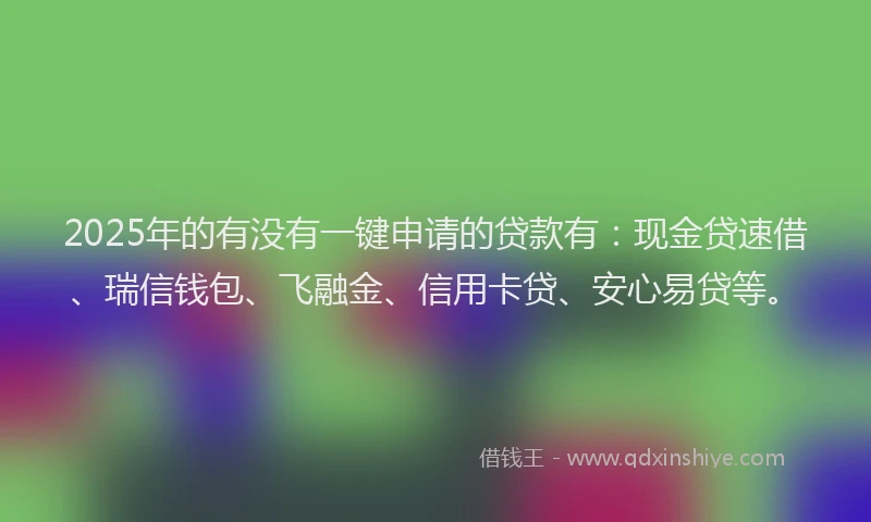 2025年的有没有一键申请的贷款有：现金贷速借、瑞信钱包、飞融金、信用卡贷、安心易贷等。