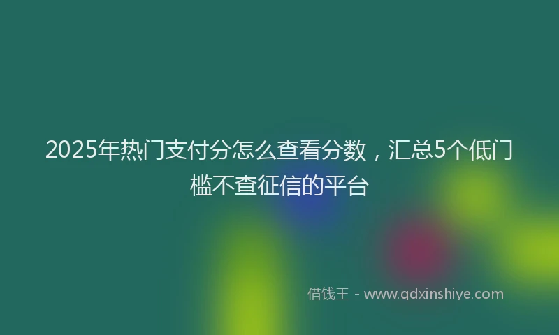 2025年热门支付分怎么查看分数，汇总5个低门槛不查征信的平台