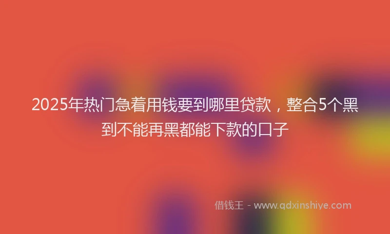 2025年热门急着用钱要到哪里贷款，整合5个黑到不能再黑都能下款的口子