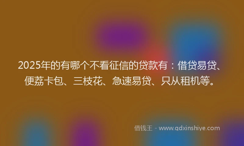 2025年的有哪个不看征信的贷款有：借贷易贷、便荔卡包、三枝花、急速易贷、只从租机等。