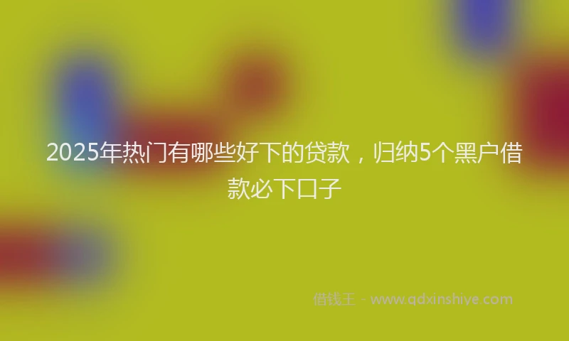 2025年热门有哪些好下的贷款，归纳5个黑户借款必下口子