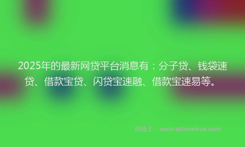2025年的最新网贷平台消息有：分子贷、钱袋速贷、借款宝贷、闪贷宝速融、借款宝速易等。