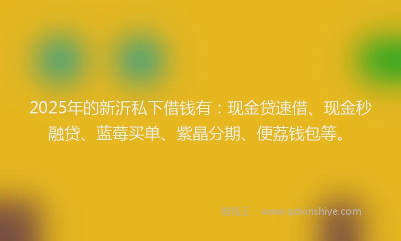 2025年的新沂私下借钱有：现金贷速借、现金秒融贷、蓝莓买单、紫晶分期、便荔钱包等。